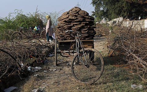 From waste to wealth: Chhattisgarh CBG policy, ICAR innovation signal India’s growing rural bioeconomy