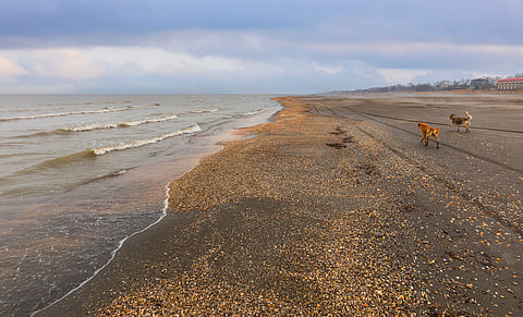 The Caspian Sea has lost an area nearly the size of Sicily: human activities are a major reason why