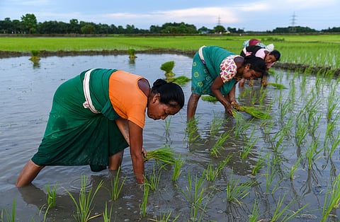 El Niño is coming. India isn’t ready for who it hurts most