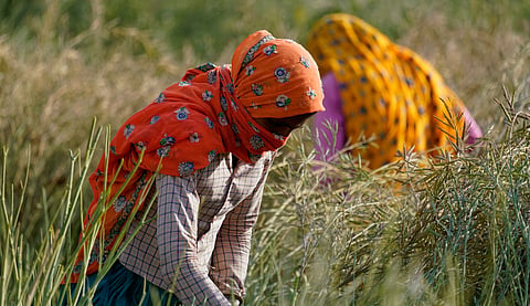 Tackling the trilemma of El Nino, stagflation, and shrinkflation