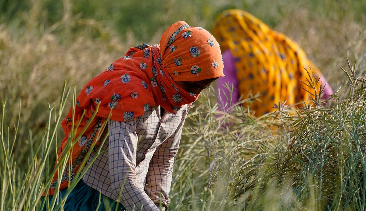 Tackling the trilemma of El Nino, stagflation, and shrinkflation