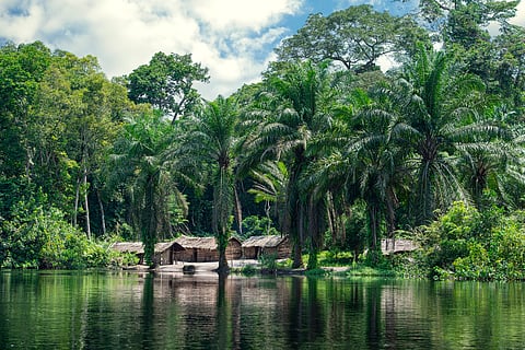 The 20km ripple effect: How mines can trigger distant deforestation in Africa