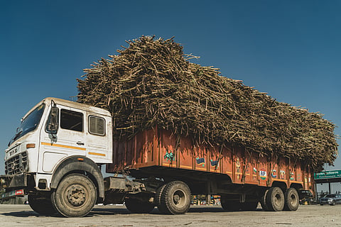 Food crops to remain backbone of global biofuel production through 2035, OECD-FAO report finds