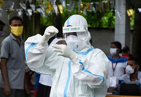 New virus catalogue reveals which pathogens pose the greatest threat