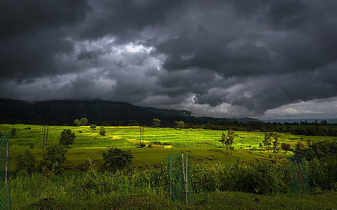 Daily weather tracker: Monsoon intensifies across India; IMD issues red, orange and yellow alerts for several states