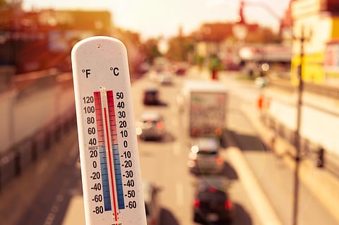 Climate law expert: Europe’s deadly heatwaves belong in court