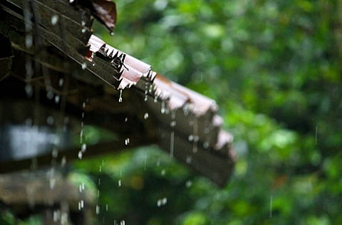 Daily weather tracker: Monsoon remains active; heavy rain alert issued across more than 20 states