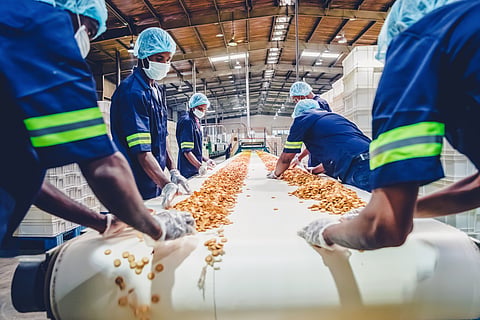 Climate shocks are hitting South Africa’s food businesses — study shows what they need to adapt