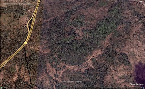 Nepanagar Range, Beat Jhanjhar, Burhanpur forest division, Madhya Pradesh.