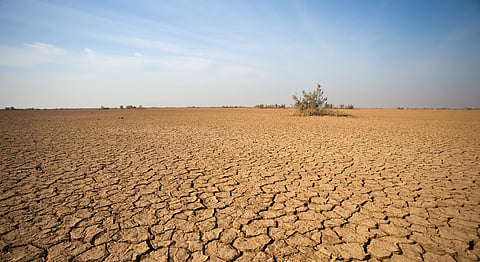 Are we drought proof?