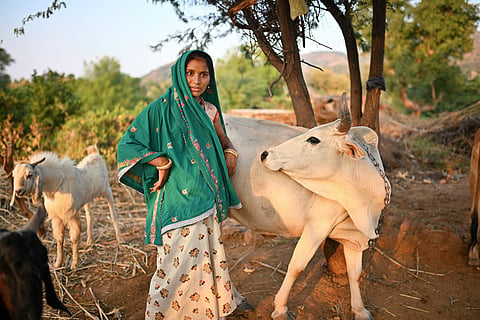 'Community animal health workers are our first line of defence against the next zoonotic outbreak'