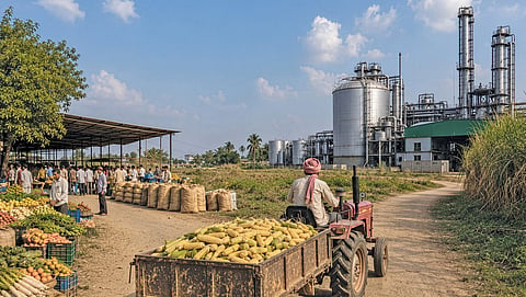 Fields of fuel