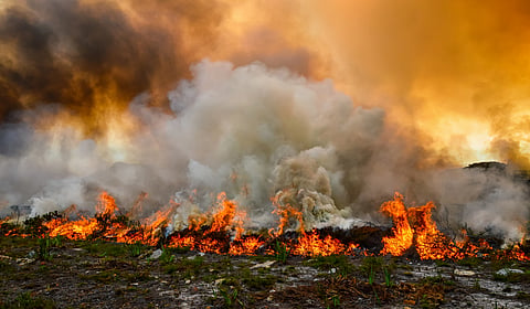 Africa’s wildfire season is getting shorter, study suggests