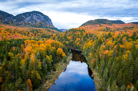 Industrial development is fragmenting Canada’s boreal forest. Governments should think carefully about future approvals