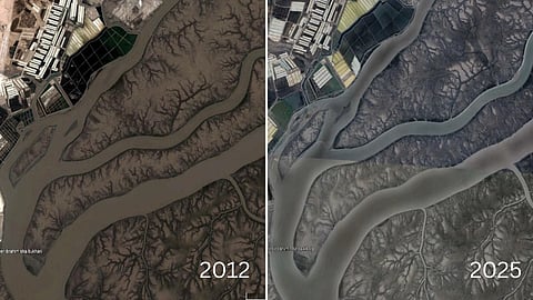 Satellite imagery showing the status of mangroves in 2012 and 2025 in Sat Saida Bet after the plantation initiative undertaken by GUIDE for IFFCO.