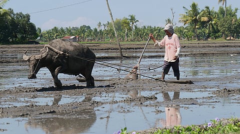 Rising heat pushes Philippines’ poor into a climate poverty trap, says Greenpeace