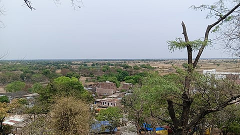 Unprotected protectors: Bundelkhand’s sacred groves are thriving without any law to save them