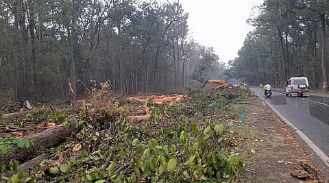 As residents oppose the felling of nearly 4,000 trees in Saat Mod, the controversy has revived questions over whether plains-style infrastructure planning can work in Uttarakhand.