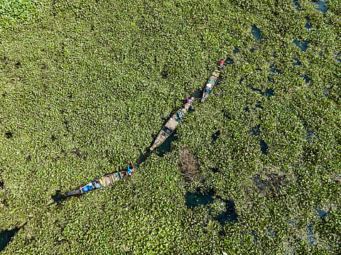 Strengthening peatland emissions monitoring: New FAO report updates factors, points out data gaps