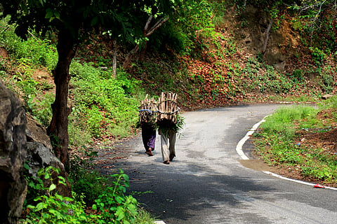 Centre’s forest rights letter could weaken Gram Sabha authority, experts warn