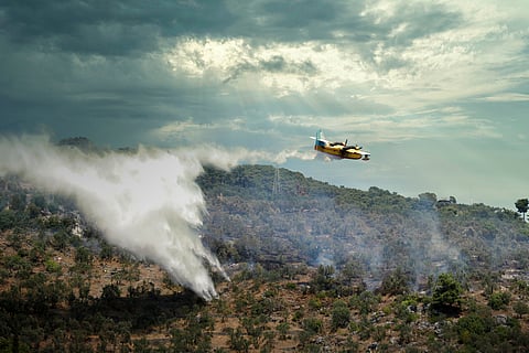 Why Spain needs to invest heavily in preventing fires, not just in fighting them