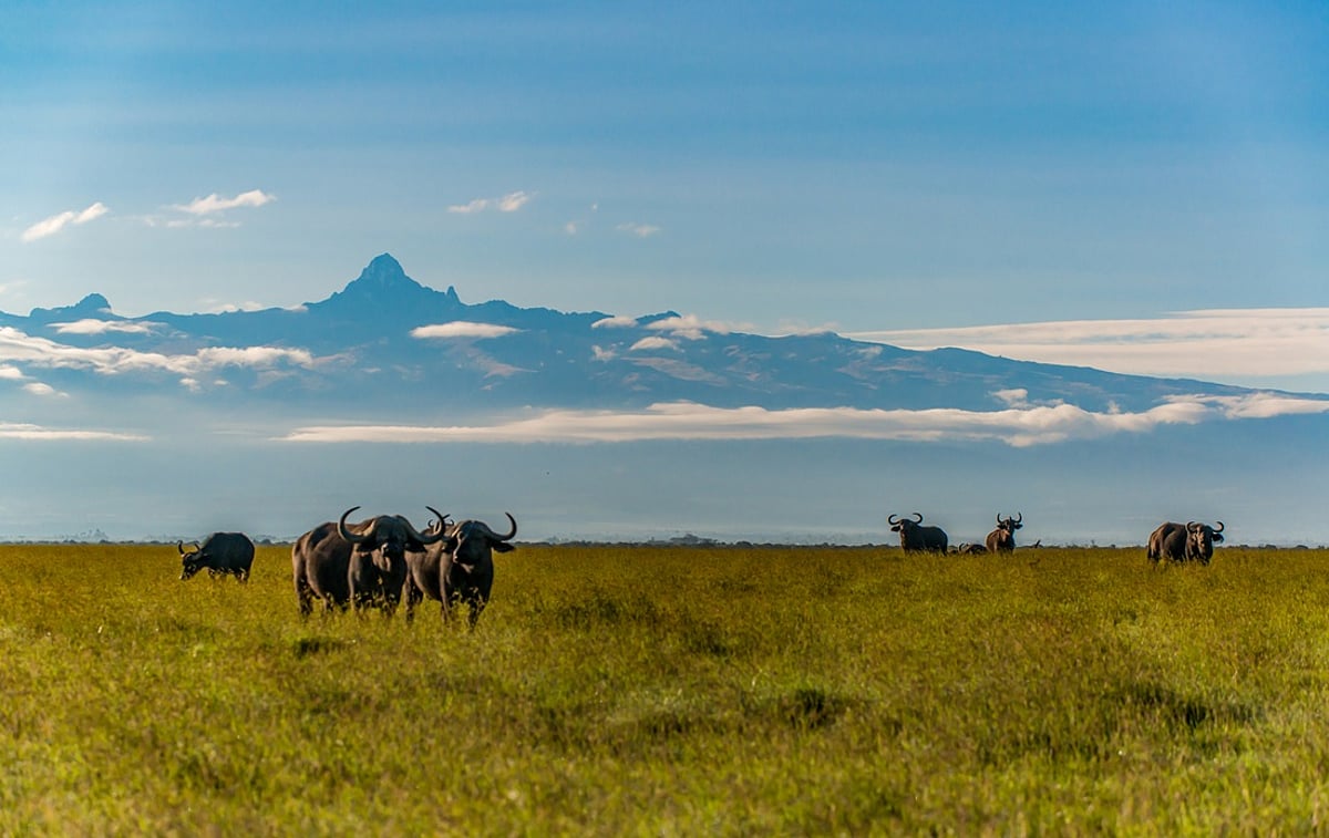 Climate change is shifting childhood malaria hotspots across Africa, finds study Climate change is shifting childhood malaria hotspots across Africa, finds study