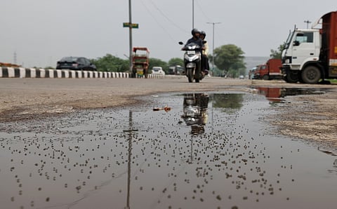 Monsoon brings proliferation of mosquitoes to Delhi