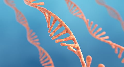 First mRNA flu shot approved by FDA bodes well for improving drugs of the future