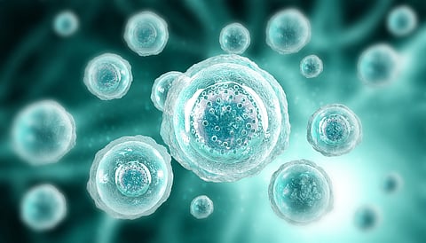 Did life evolve more than once? Researchers are closing in on an answer 