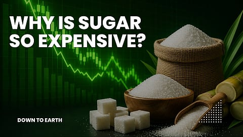 Explained: Why are sugar prices rising in India? 