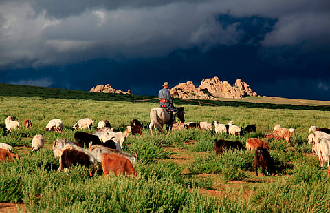 Combat desertification COP17: Rangelands will not be a marginal item in international policy after Ulaanbaatar. Here is why