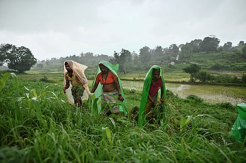 India’s women farmers are finally being recognised. Will they ever own the land?