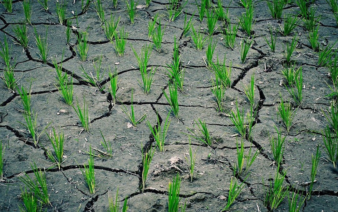 India's weakening southwest monsoon is a multi-sectoral challenge