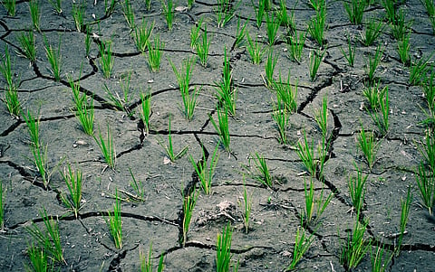 India’s weakening southwest monsoon is a multi-sectoral challenge