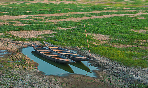 
Why the world can’t agree how to tackle drought
