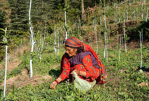 Who will grow India’s food in the future? 