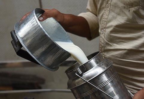 India’s protein demand set to triple by 2070: Emissions could soar, but the transition won’t look like West’s