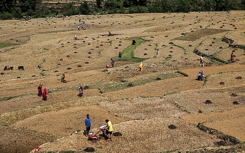 Mechanised agriculture in the hills is a double-edged sword