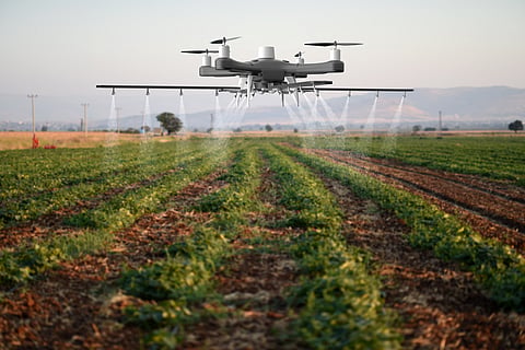 Global chemical review committee adopts guidance on insecticide methyl parathion