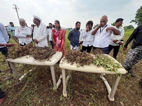 Farmers wait for Maharashtra Chief Minister Devendra Fadnavis and state officials to inspect drought-affected crops in Chhatrapati Sambhajinagar district.