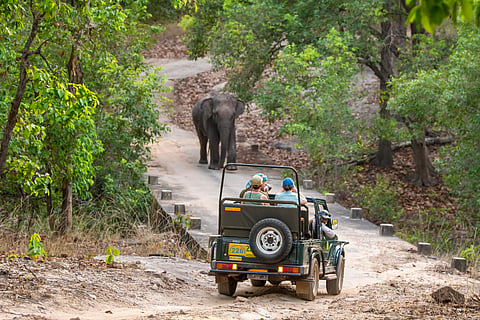 Bandhavgarh National Park