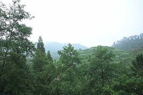 Daily weather tracker: Depression weakens over Myanmar, heavy rain forecast across Northeast and South India