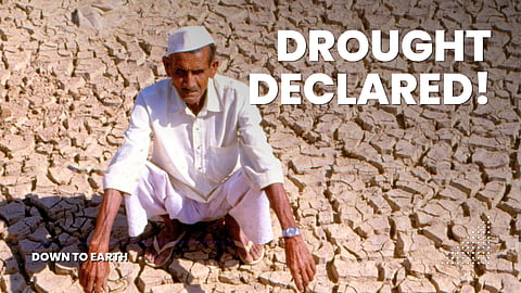 Drought in 265 talukas: Maharashtra farmers face mounting crop losses