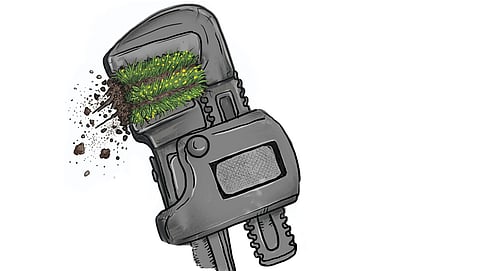 Regenerative agriculture: A lifeline for smallholders?