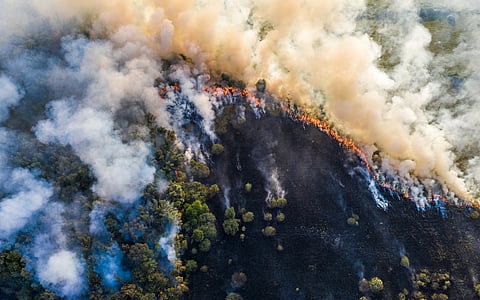 1.56 billion hectares, 10% of world’s land and nearly 5.2 times the size of India, degraded: UN