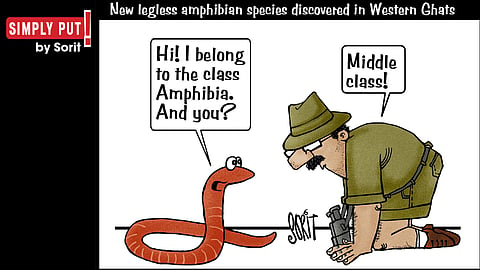 Simply Put: New species discovered