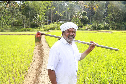 Cheruvayal Raman