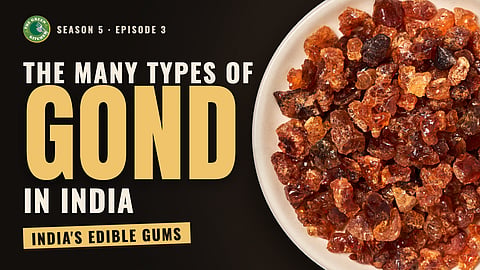 The Green Kitchen, Season 5, Episode 3 | Exploring India’s edible gums and how they are used