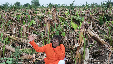 A farmer stands amidst a field devastated by an extreme weather event