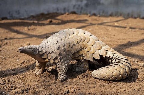 Photo: iStock